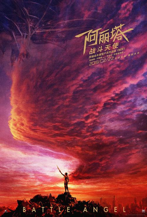 仿制土耳其护照电子版